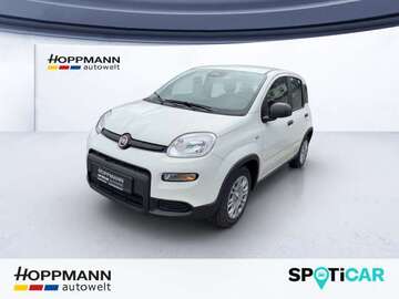 Gebrauchte Fiat Panda